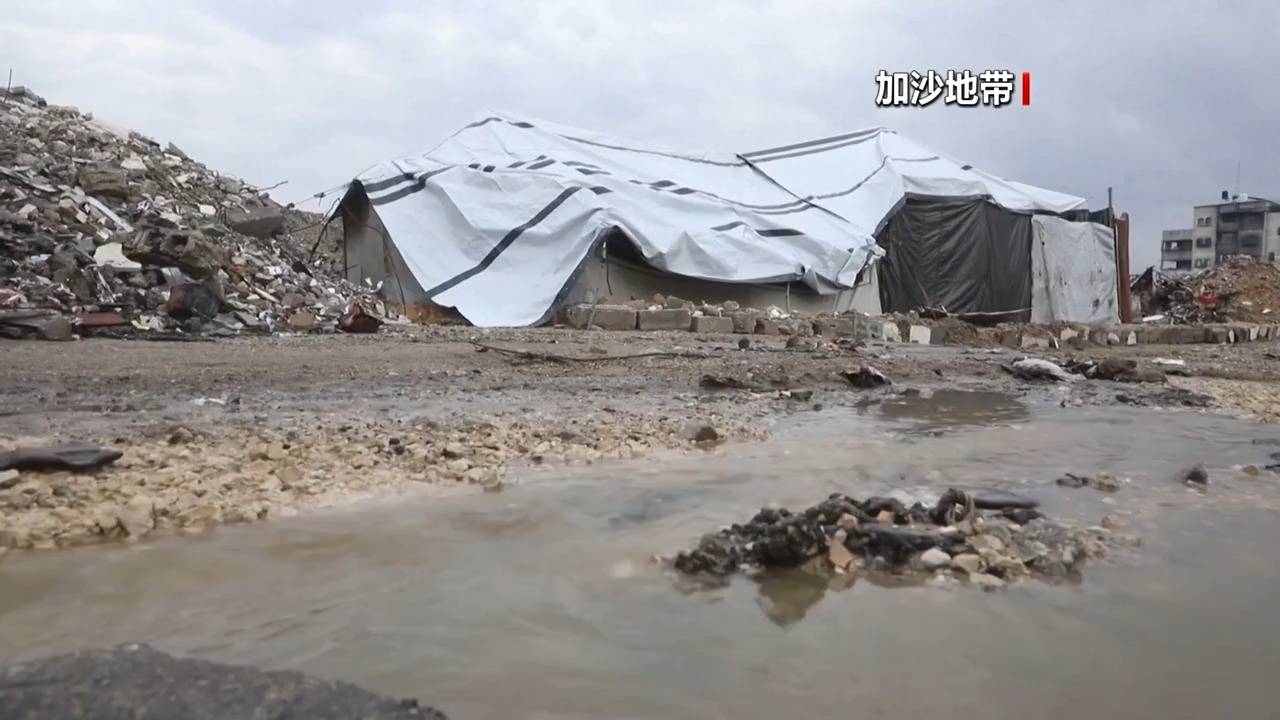 皇冠信用网口出租
_最新皇冠信用网口出租
!法国、英国、加拿大、丹麦、芬兰等十国外长发布联合声明