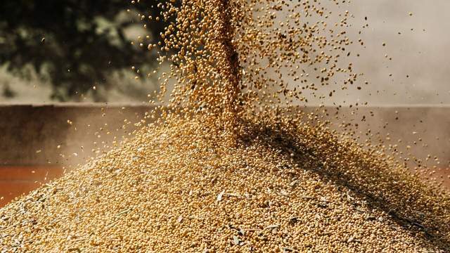 皇冠信用网
_中国采购800万吨美国大豆皇冠信用网
,美媒争相“报喜”,实则中美角色已互换