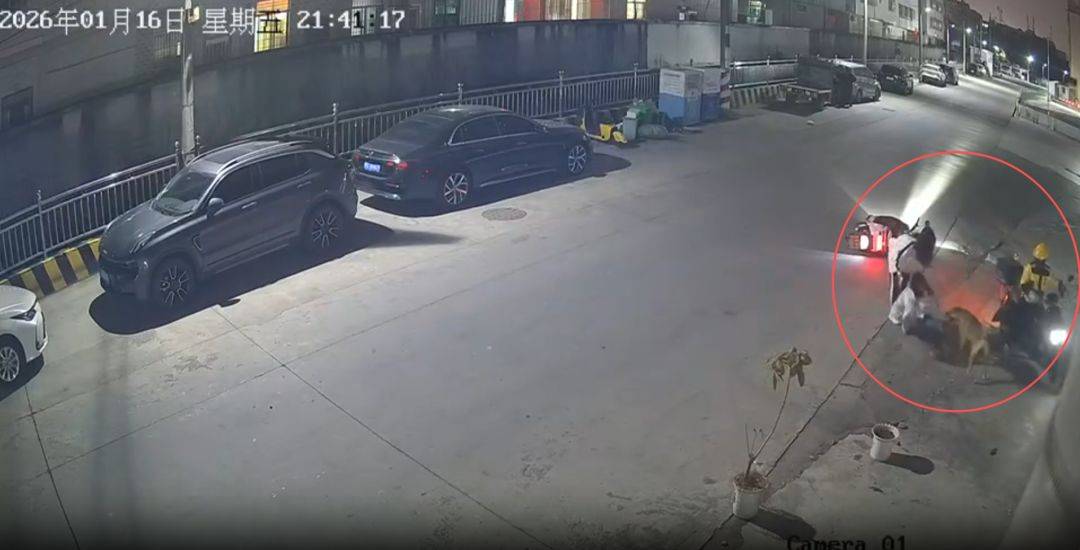 皇冠平台出租_2名女生遭恶狗追咬皇冠平台出租，“其中一人跟腱被咬断”！官方通报：肇事犬只主人被拘留